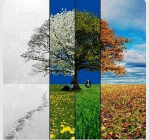 seasons